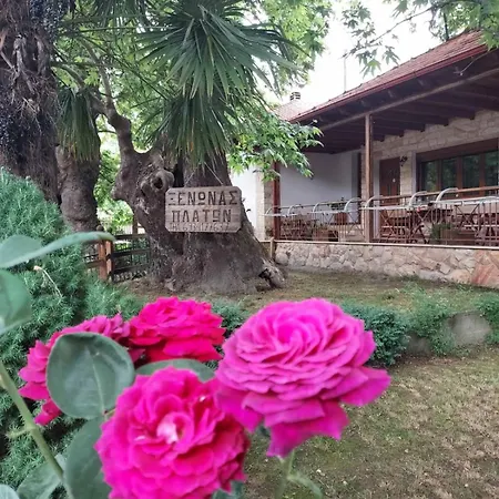 Platon ゲストハウス