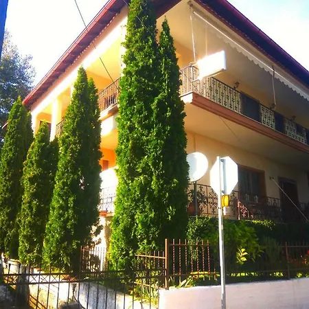 Platon Guest house *