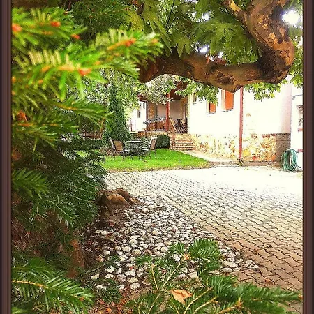 Platon ゲストハウス Órma