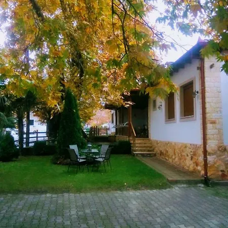 Platon Guest house *
