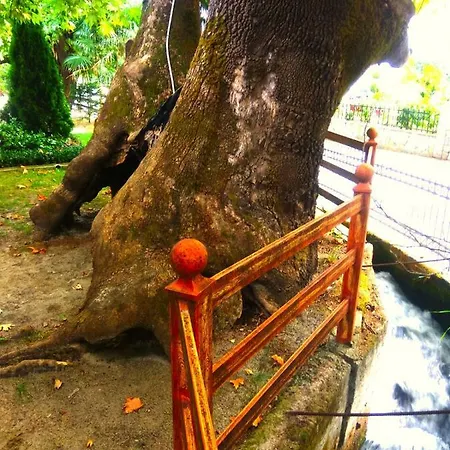 Platon ゲストハウス